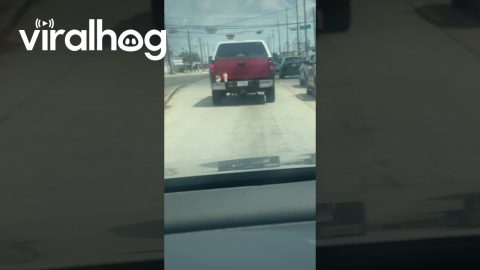 Tragic, Hang in There Fellow Texans || ViralHog