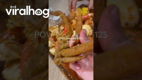 Cooked Crab Molt Is Expensive || ViralHog