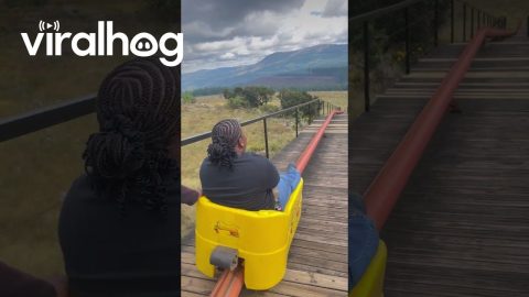Long Tom Toboggan Ride || ViralHog