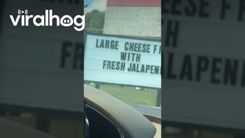 With Fresh What Now? || ViralHog