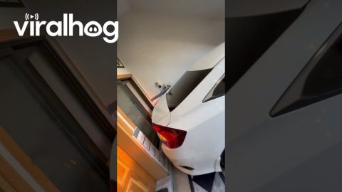 Crazy Tight Parking Spot || ViralHog