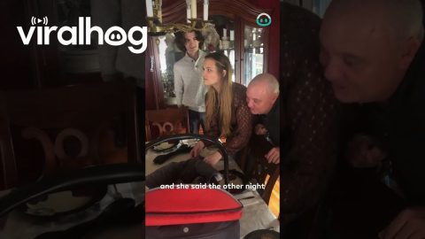 Surprising Family With Newborn || ViralHog