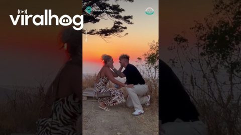 Sunset Fit Check Hides a Proposal || ViralHog
