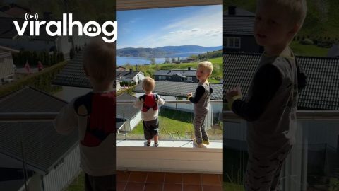 Boys Sing Birthday Song for 84-Year-Old Neighbor || ViralHog