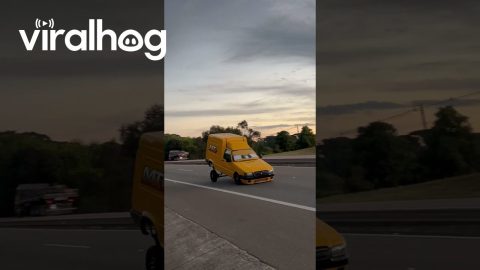 Eyes on the Road || ViralHog