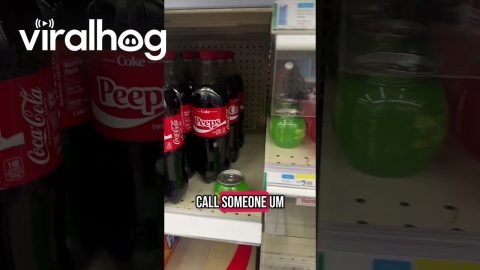 Odd Flaw In Supermarket Security || ViralHog