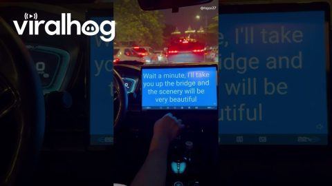 Taxi Translates Directions Between Driver And Passenger || ViralHog