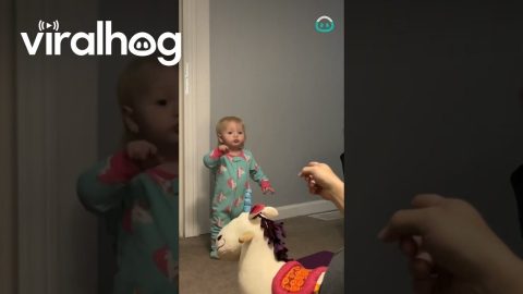 Daughter Gets Sassy With Dad || ViralHog