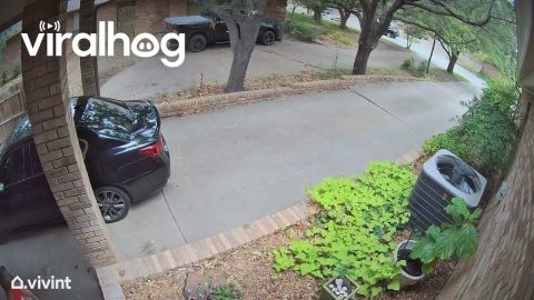 Woman Tells Kids to Keep the Change || ViralHog