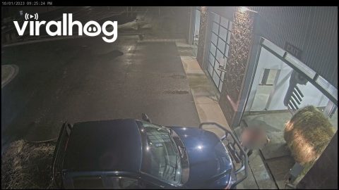 Truck Breaks Carwash With Round Bale || ViralHog