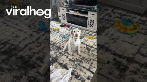 Thor Airs His Grievances and Yaps About His Day || ViralHog