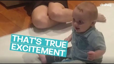 Baby Meets Energetic Puppy for the First Time || ViralHog