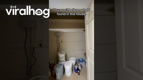 Door Knocking Training Facility || ViralHog