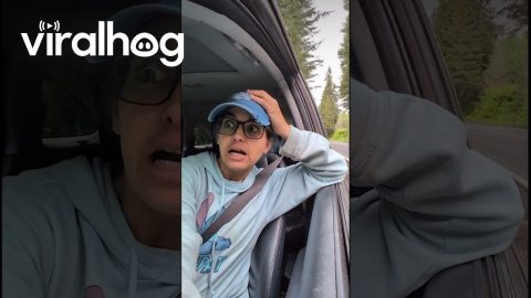 Pulling Over After Seeing Loose Logs on Truck || ViralHog