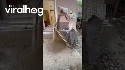Separating Sand and Rocks || ViralHog