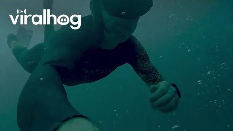 Gas Bubbles Escape From Underwater Cracks || ViralHog