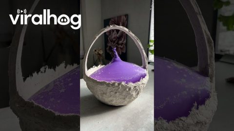 Paper Mache Home Decor || ViralHog
