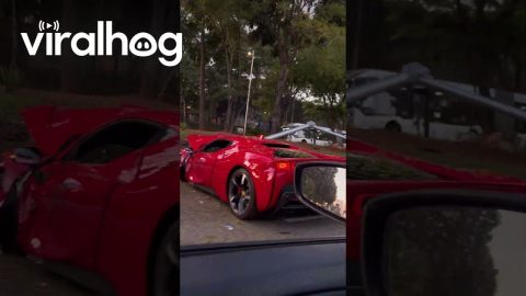 Wrecked SF90 Ferrari || ViralHog
