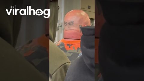 Bald Man Evolves Eyespot Mimicry || ViralHog