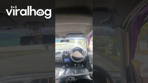 Pakistani Tesla - Literal Backseat Driver || ViralHog
