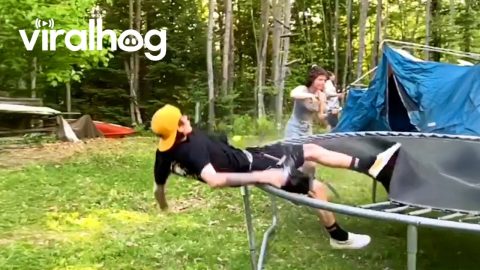 EPIC FAILS YOU CAN’T UNSEE! 🚨 Try Not to Laugh Challenge || ViralHog