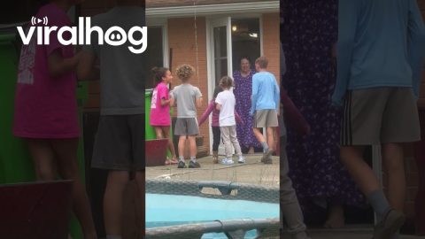 Kids Surprising Their Next Door Neighbor on Her Birthday || ViralHog