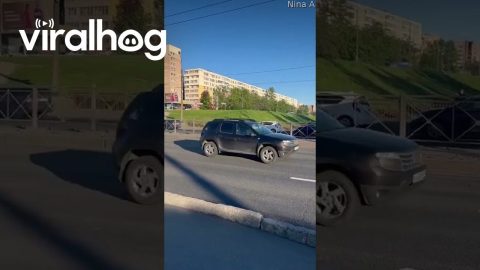 Clumsy Moose Collides With Passing Car || ViralHog