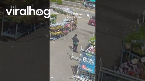 Whirlwind Hits Hardware Store || ViralHog