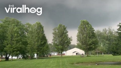 Tornado in Linton, Indiana || ViralHog