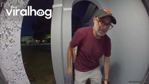 Frog Launches Itself at Man || ViralHog