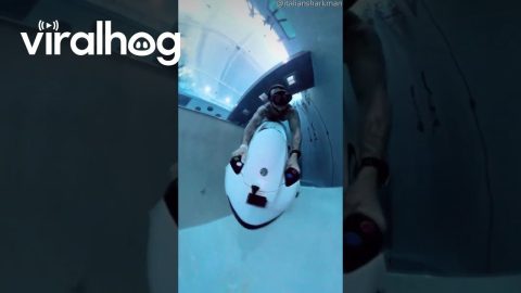 SeaBob in a Pool || ViralHog