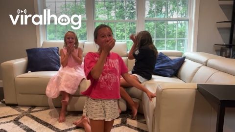 Sisters Surprised by New Puppy || ViralHog