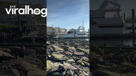 Boat Crashes Into Dock || ViralHog