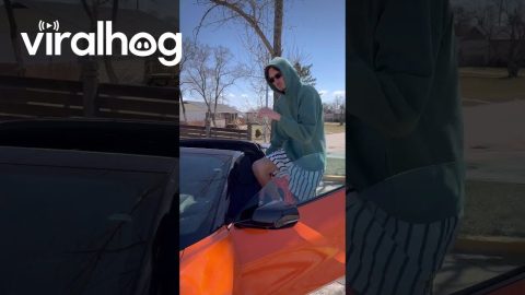 Man Is Definitely Not Too Tall for His Corvette || ViralHog