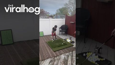 Playing Golf With Tuna the Dog || ViralHog