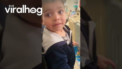 Kid identifies Dad as Mr Potato Head || ViralHog