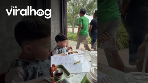 Adorable Kids Play Through Restaurant Window || ViralHog