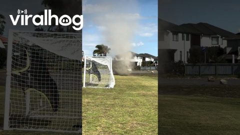 Mini Tornado in Auckland Soccer Field || ViralHog