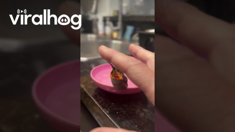 Man Gently Cares for a Lost Hummingbird || ViralHog