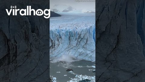 Perito Moreno Glacier Façade Shifts After Calving || ViralHog