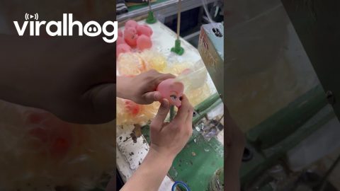Machine Makes Thousands of Doll Hairs in an Instant || ViralHog