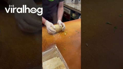 An Impressive Wrap || ViralHog
