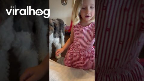 Protection From Mom's Prickly Legs || ViralHog