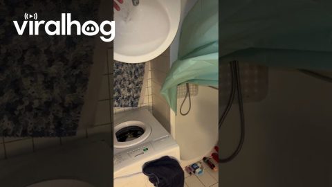 Why Is My Sink Controlling the Power in My Bathroom? || ViralHog