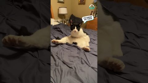 Sitting Like He Owns the Place (He Does) || ViralHog