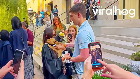 Heartwarming Graduation Moments 🎓 ViralHog