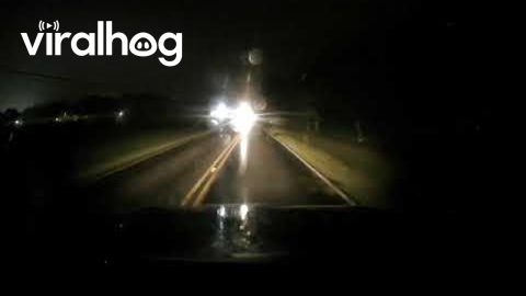 Headlights Conceal Fallen Branch || ViralHog