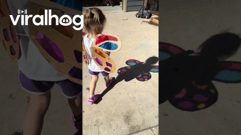Stained Glass Fairy Wings for My Daughter || ViralHog