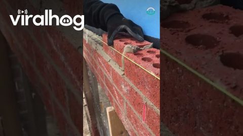 Satisfying Bricklaying || ViralHog