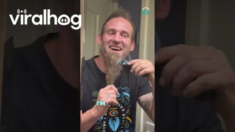 Man Shaves 4 Year Old Beard || ViralHog
